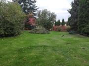 Einfamilienhausgrundstück in grüner Lage in Grimma OT Böhlen