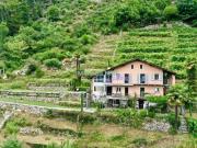 Ein besonderer Rückzugsort inmitten der Reben saniertes...