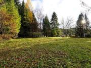 Ein guter Grund für einen Traum