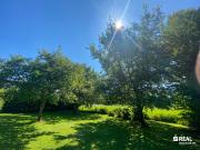 Ein guter Grund für einen Traum