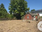 Ein Platz zum Wachsen – Ihr neues Zuhause in Essling