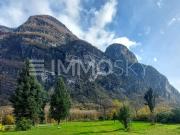 Ein Traumland für das Zuhause, das Sie sich schon immer...