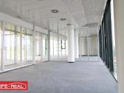 ein Wohlfühlbüro, hell, sonnig, lichtdurchflutet
