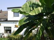 Ein Zweifamilienhaus nahe der Urdenbacher Kämpe