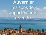 Eine einmalige Gelegenheit