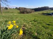 Eine Gelegenheit für Naturverbundene: Baugrundstück am...