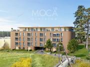 Eine helle und geräumige 3 Zimmer Wohnung