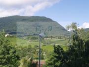 Eine wunderschöne und geräumige 4,5 Zimmer Wohnung zur...