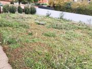 Einfamilienhaus auf 954 m² nahe Parndorf | Viel Platz...