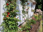 Einfamilienhaus Burgdamm Provisonsfrei