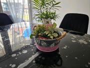 Einfamilienhaus in Duisburg Rheinhausen top Lage mit eigenem