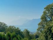 Einfamilienhaus mit 5,5 Zimmern + Studio mit Blick auf...