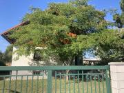 Einfamilienhaus mit ca. 125 m² Wohnfläche + 80 m² Keller Einfamilienhaus mit ca. 125 m² Wohnfläche + 80 m² Keller