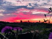 Einfamilienhaus mit Einliegerwohnung