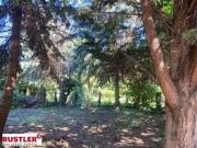 Einfamilienhaus mit großem Garten