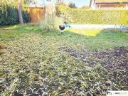 Einfamilienhaus mit großem Grundstück, 2 Eingängen,...