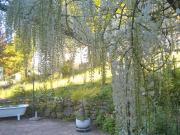 Einfamilienhaus mit möglicher Einliegerwohnung