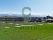 Eingeschossiges freistehendes Haus mit ungehindertem...