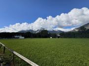 Einige sonnige ebene sowie leistbare Grundstücke in...