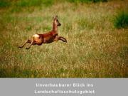 Einmalige Chance mitten in der Natur und doch gut angebunden