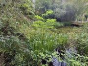 Einmalige Gelegenheit in Gleisdorf ca. 1.100 m²...