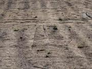 Einzelhandel Regau 4844 DS100422319