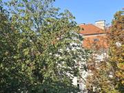 Einzigartige Gelegenheit in Hietzinger Bestlage!