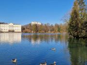 Einzigartige Lage direkt am Leopoldskroner Weiher:...
