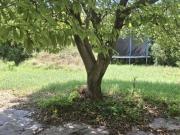 Einzigartige Lage Mitten in Aspern