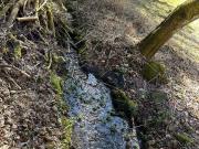 Einzigartige Liegenschaft mit 4397 m², Bach und Wiese...