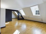 Einzigartige und moderne 3 Zimmer Attikawohnung in Basel