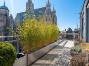 Einzigartiger Blick zum Stephansdom! Großzügige 3 Zimmer...
