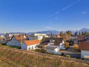 Einzigartiges Ensemble in Lustenau: Wohnhaus und...