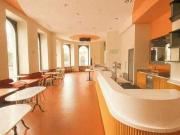 Einzigartiges Geschäftslokal in Top Lage 1010 Wien