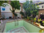 El alma de un patio cordobés