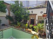 El alma de un patio cordobés