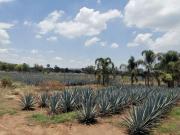 El Arenal Jalisco
