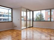 El Bosque | Plaza Las Lilas