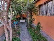 EL ESFUERZO Y SALOMON SACK