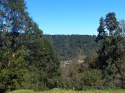 ¡El paraiso está en venta!