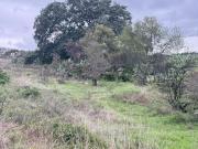 El Roble, Amealco. Terreno en venta de 2,600m2 sobre...