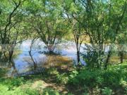 El Yerbaniz, Montemorelos