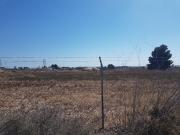 Elche Terreno 9500 m2 frente zona Parque Industrial Elche Terreno 9500 m2 frente zona Parque Industrial