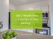 Elder Gardens Studio [object Promise] for Rent