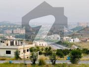 Elegant 1 Kanal Levelled Plot For Sale