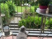 Elegant 3 Bedroom Furnished Home in Green Zehlendorf...