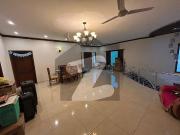 Elegant 500 Yards Bungalow for Rent in DHA Phase 6 | 5...