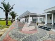 Elegant Farm house For Rent