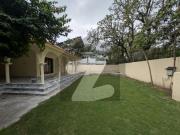 Elegant House Is For Rent In E 7
