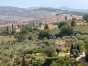 Elegante casale storico ristrutturato con uliveto Pienza...